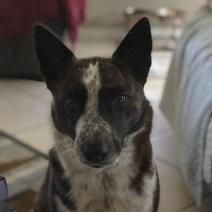 Meet your Posher, Laurie